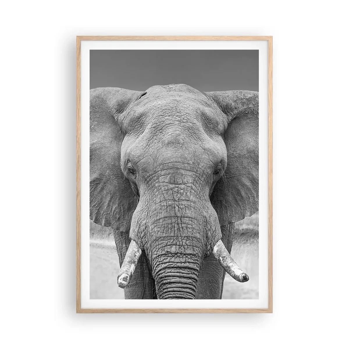 Poszter világos tölgy keretben - Üdv a világomban - 70x100 cm