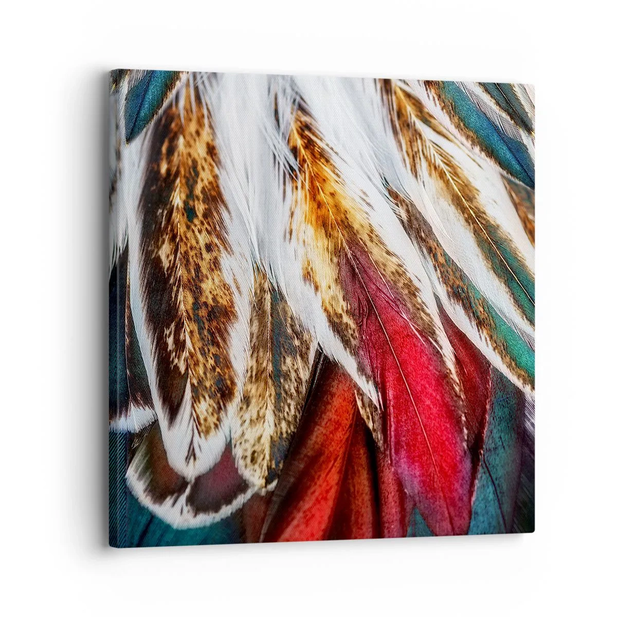 Vászonkép - A repülés titkai - 30x30 cm