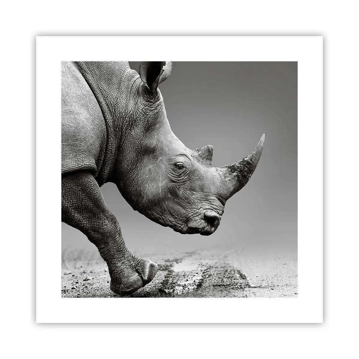 Poszter - Megállíthatatlan erő - 40x40 cm