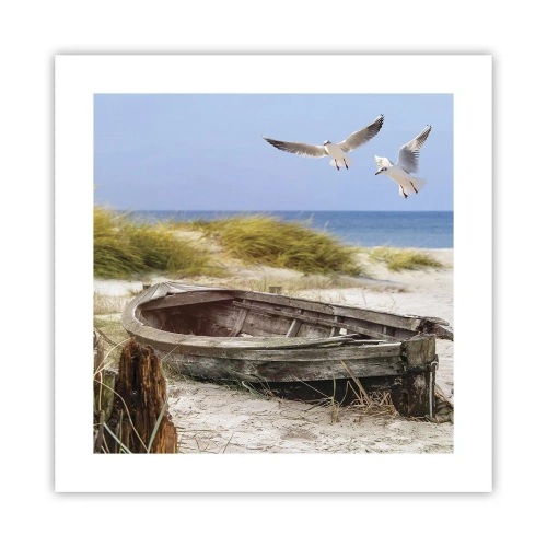 Poszter - Szélben fürödve - 40x40 cm