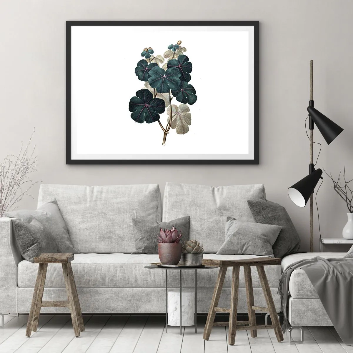 Poszter fehér keretben - Egy régi herbáriumból - 70x50 cm