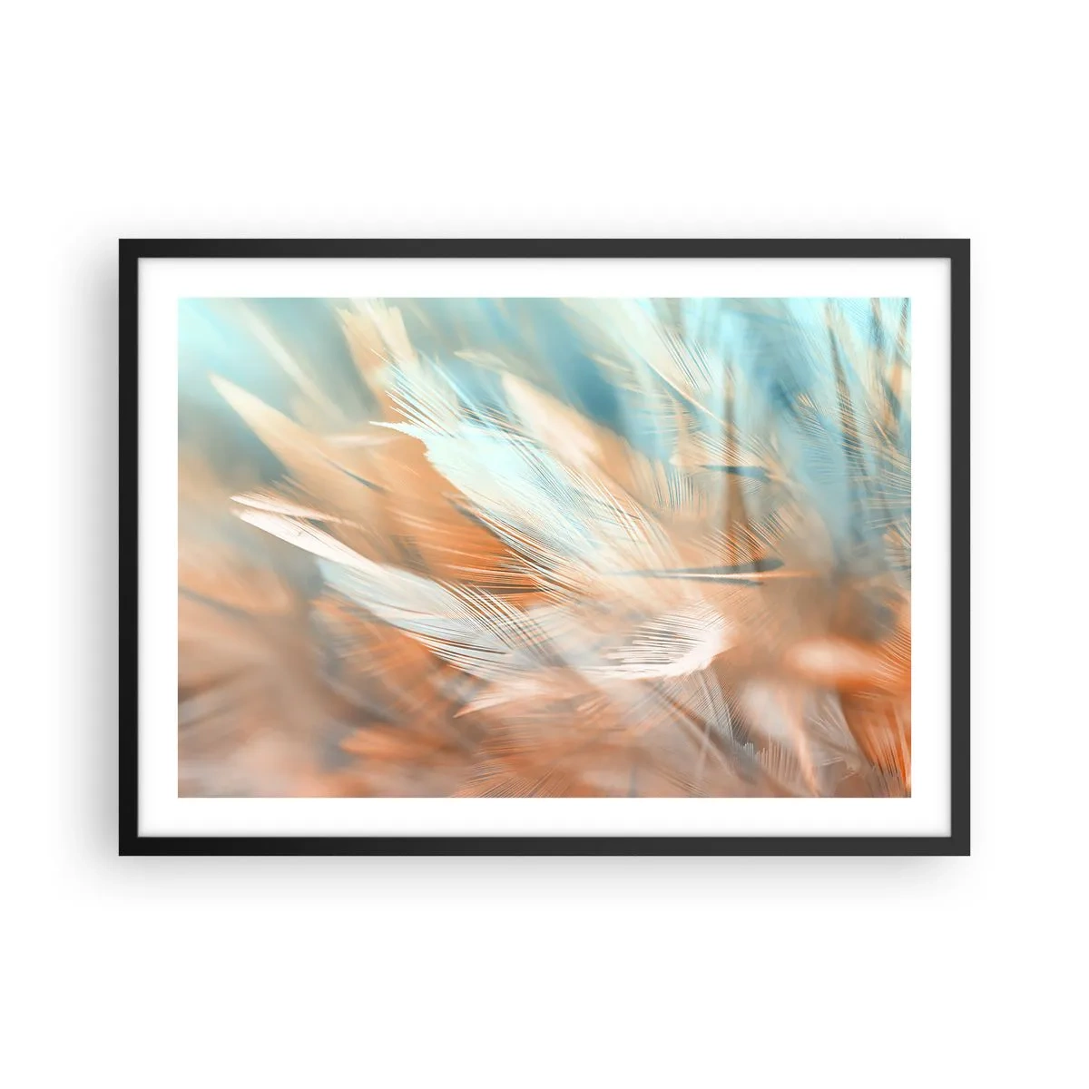 Poszter fehér keretben - A szelídség földjén - 70x50 cm