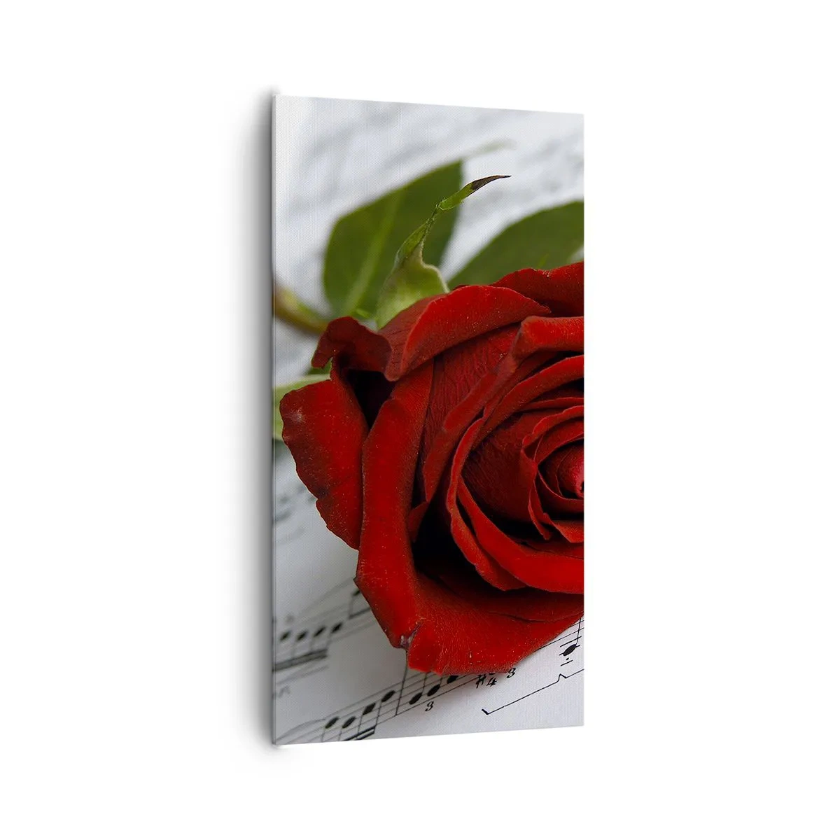 Vászonkép - Érzések zenéje skarlátvörös színben - 65x120 cm