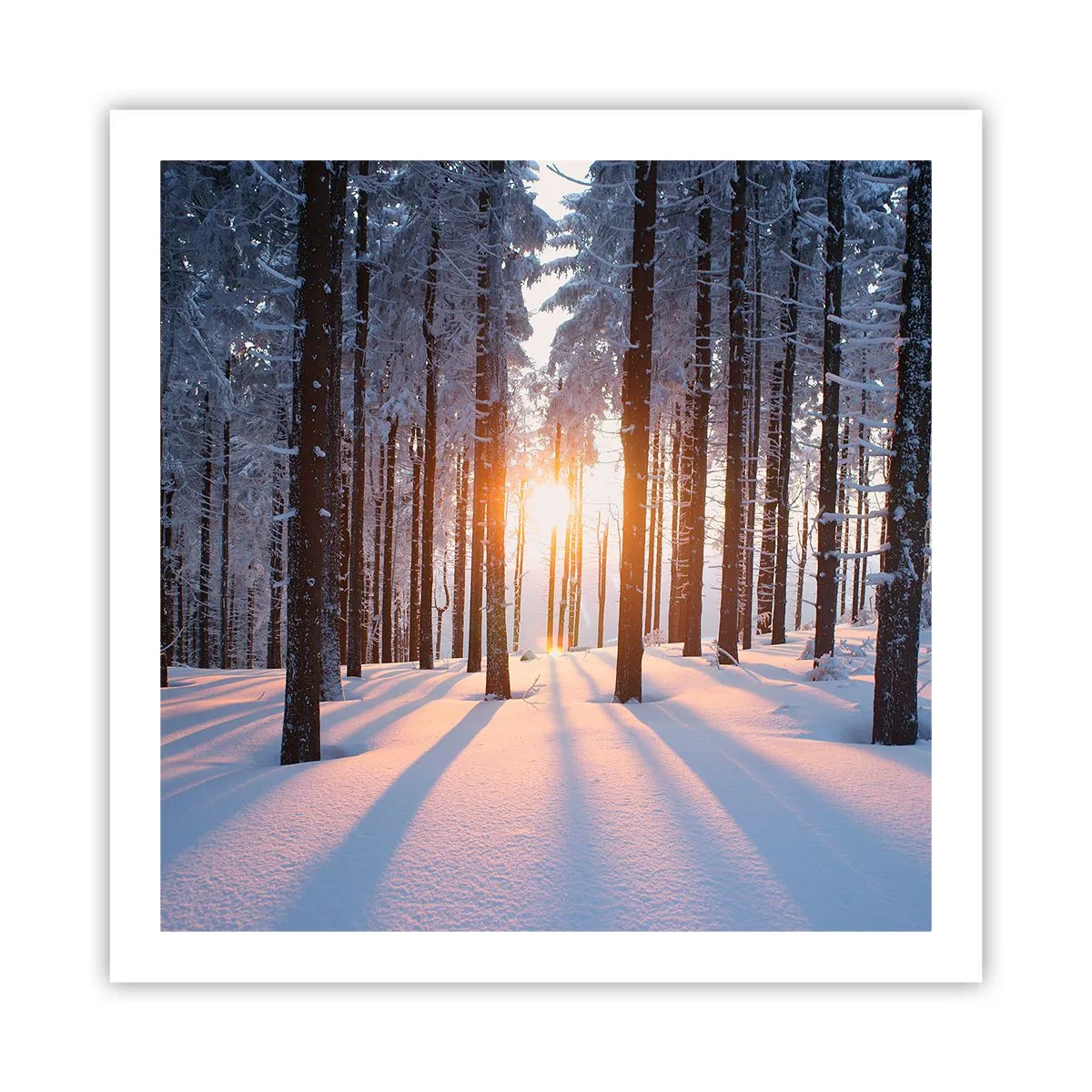 Poszter - Egyértelműen fekete-fehéren - 60x60 cm