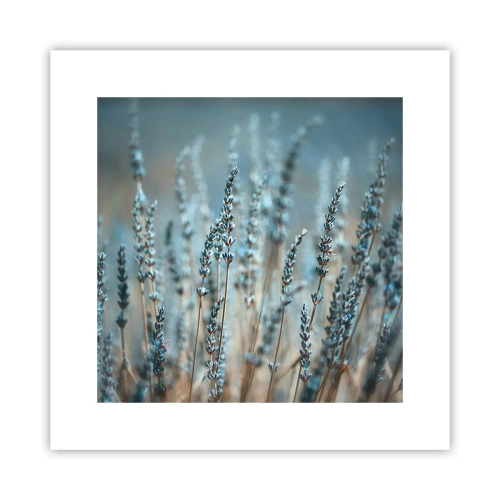 Poszter - Illatos szálak - 30x30 cm