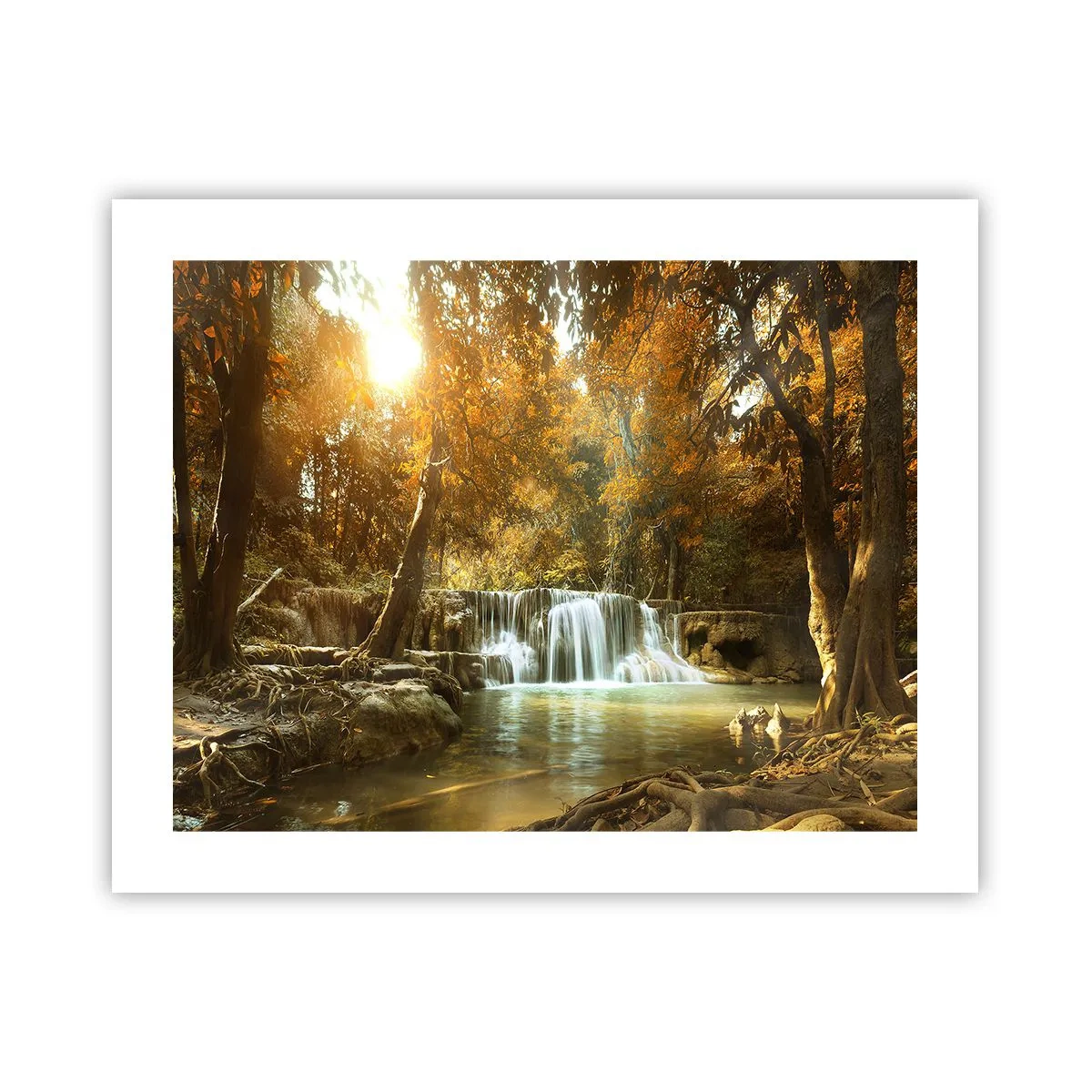 Poszter - Park kaszkád - 50x40 cm