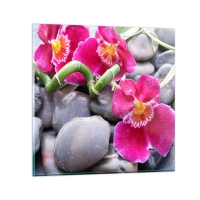 30x30 cm | Négyzetes