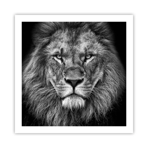 Poszter - Őfelségi palástban - 60x60 cm