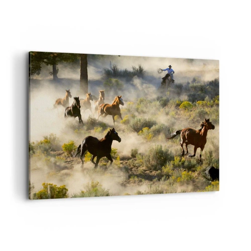 Vászonkép - Rivalizálás – szabadság, vagy férfierő? - 100x70 cm
