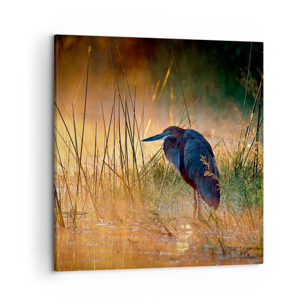 Vászonkép - Hagyjatok békén ezekkel a fotókkal - 50x50 cm