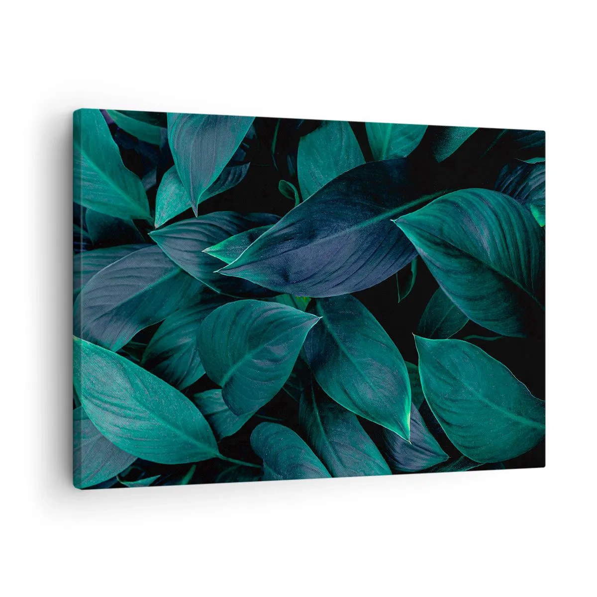 Vászonkép - Zöld levelek közeli képe sötét háttérrel - 70x50cm - Maga a zöldellő növényzet - Modern fali dekoráció nappalihoz és hálószobához ARTTOR