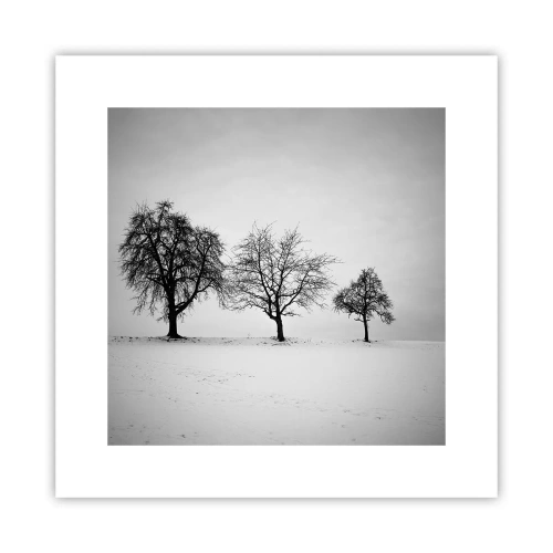 Poszter - Miről álmodoznak? - 30x30 cm