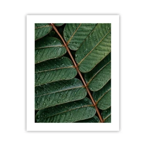 Poszter - Zöld ritmusban - 40x50 cm