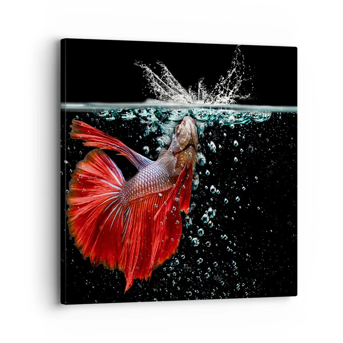 Vászonkép - Három kívánságod van - 30x30 cm