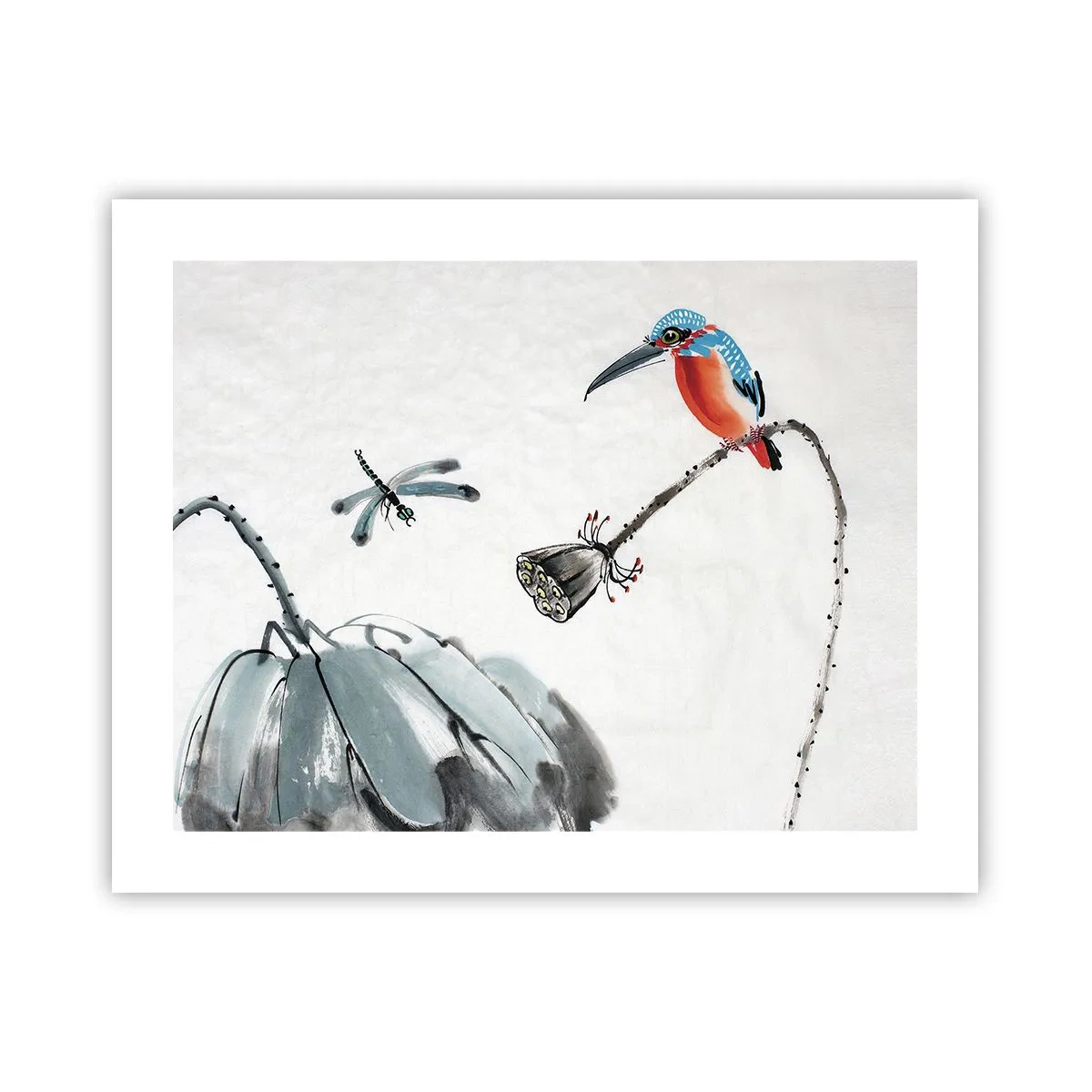 Poszter - A rét élete - 50x40 cm