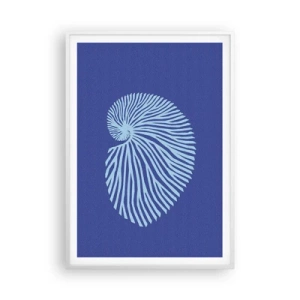 Poszter fekete keretben - Egy kagyló születése - 70x100 cm