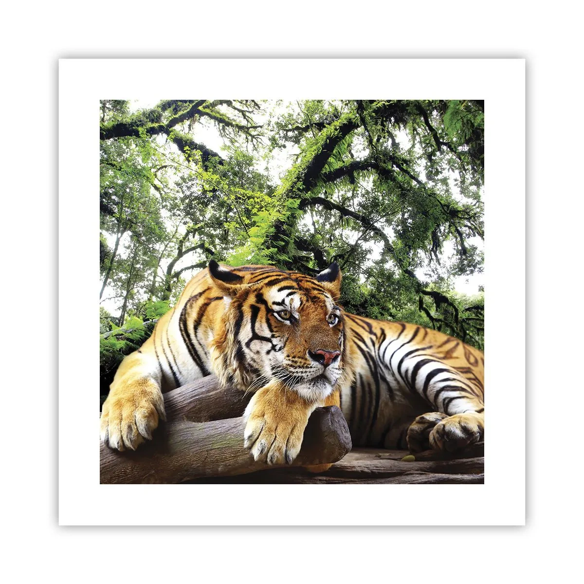 Poszter - Tisztelettel - 40x40 cm