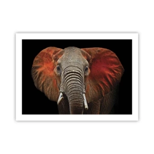 Poszter - Én vad vagyok, és te? - 70x50 cm