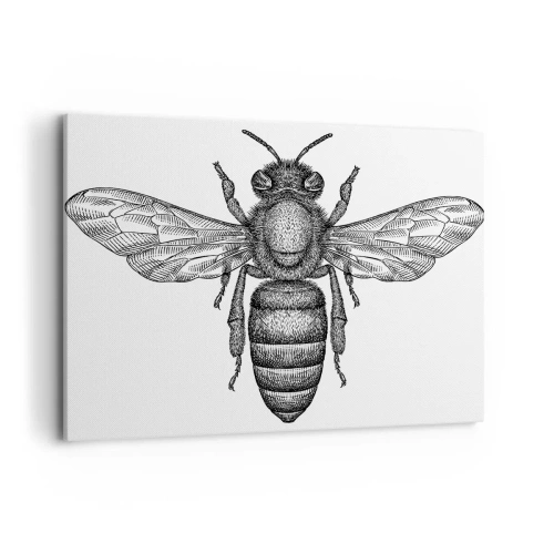 Vászonkép - Rovar portré - 100x70 cm