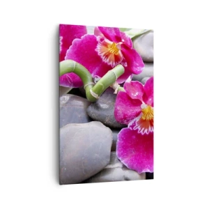 Vászonkép - Hideg és forró - 80x120 cm