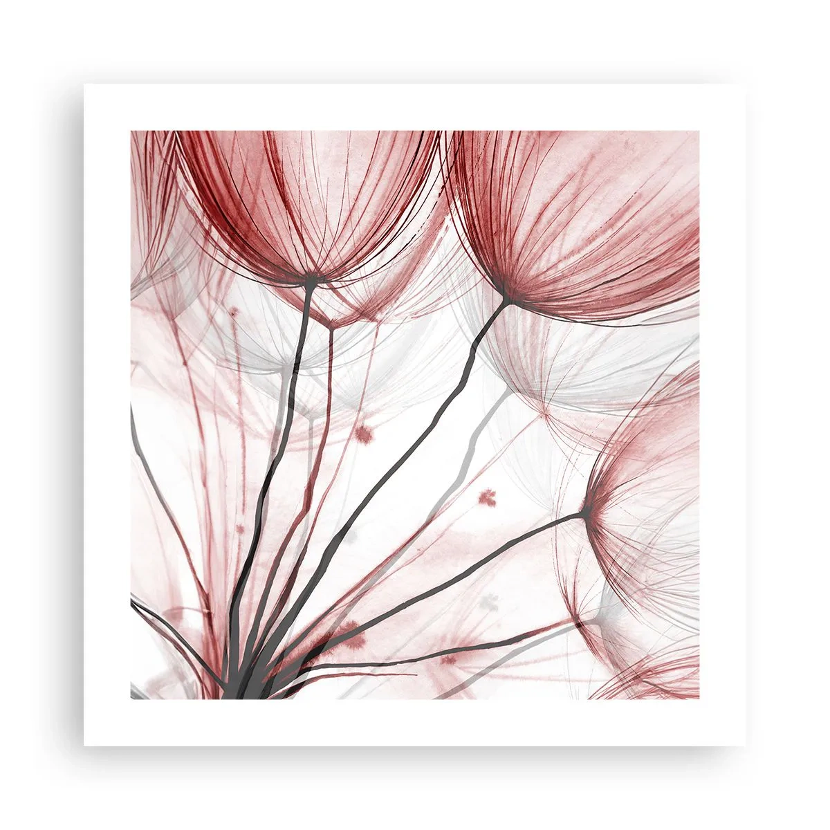 Poszter - Felszállás előtt - 50x50 cm