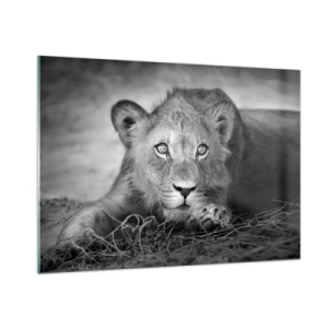 Üveg kép - Királyi kölyök - 100x70 cm