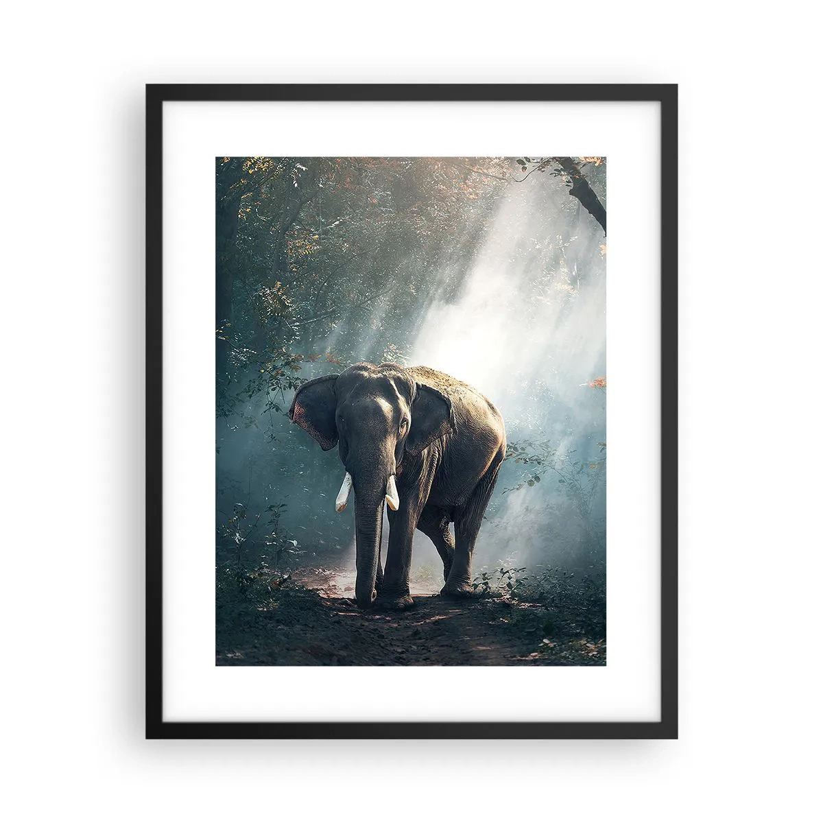 Poszter fehér keretben - Nyugodt séta - 40x50 cm