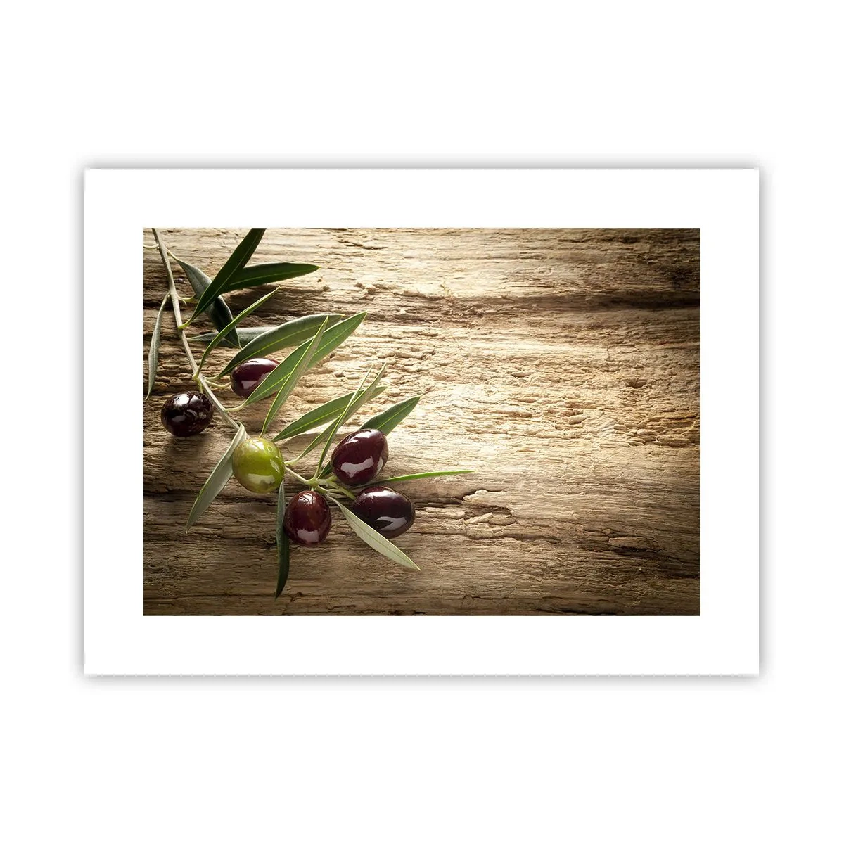 Poszter - Egyenesen a természetből - 40x30 cm