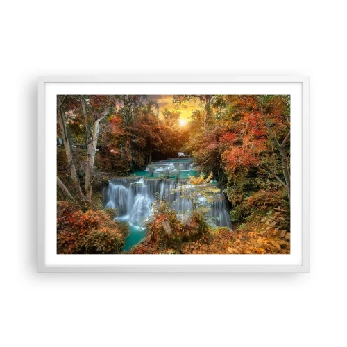 Poszter fekete keretben - Az erdő rejtett kincse - 70x50 cm