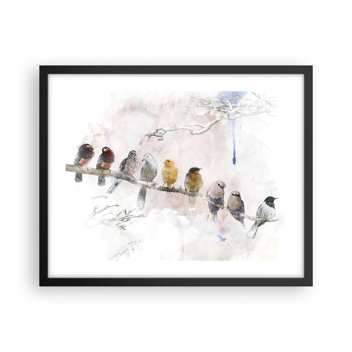 Poszter fehér keretben - Szárnyas találkozó - 50x40 cm