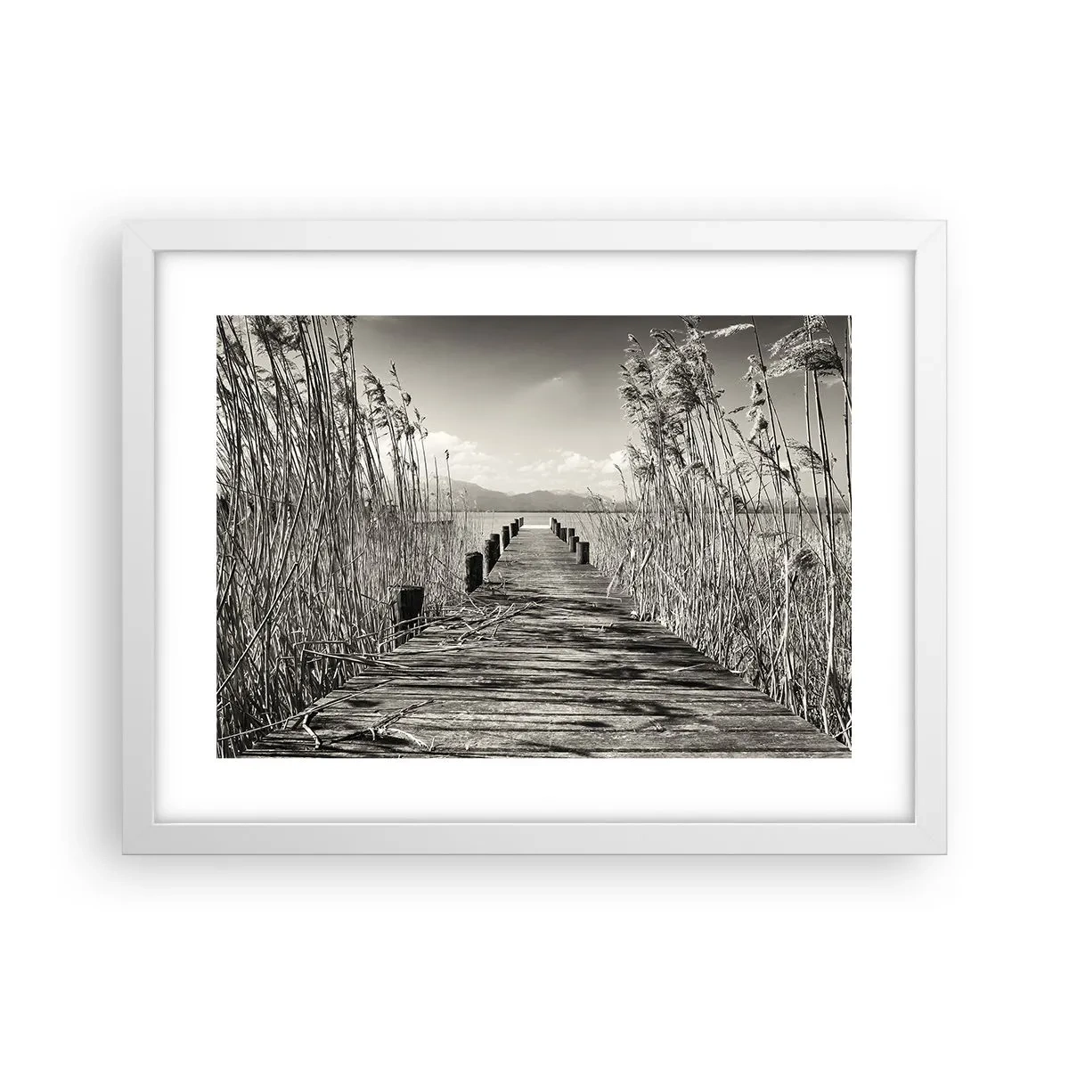 Poszter fekete keretben - A fű csendjében - 40x30 cm