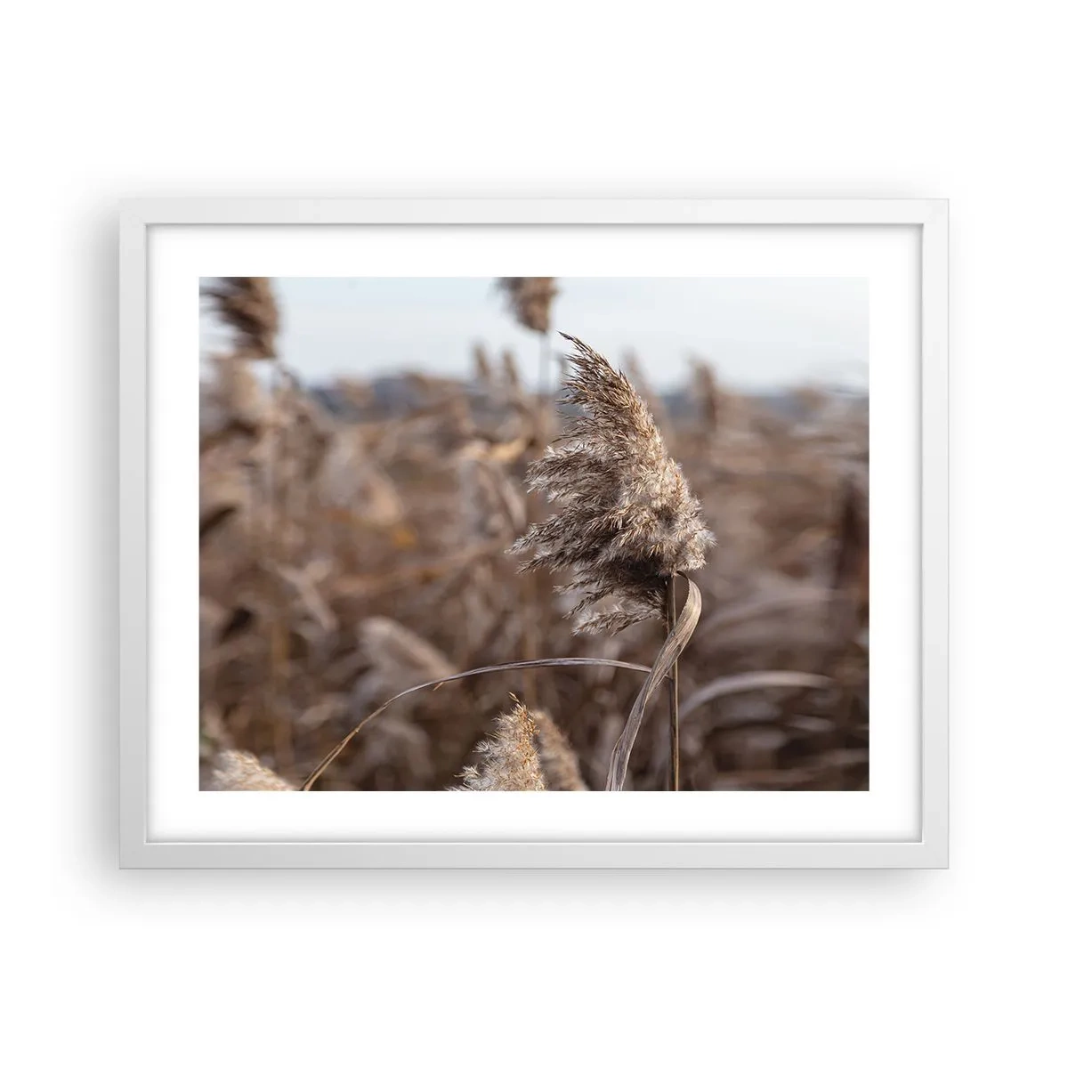 Poszter fekete keretben - Ideje elrepülni a széllel - 50x40 cm