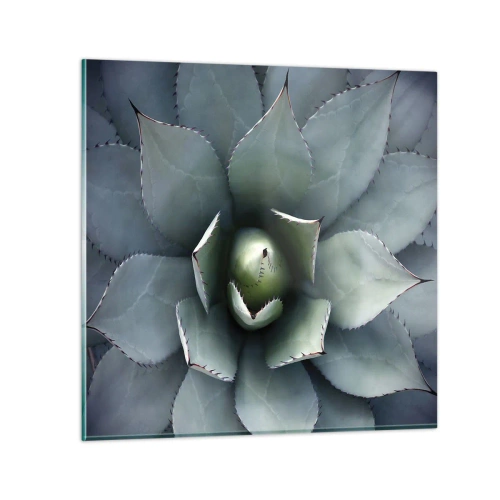 Üveg kép - Wabi és figyelmeztetés - 30x30 cm