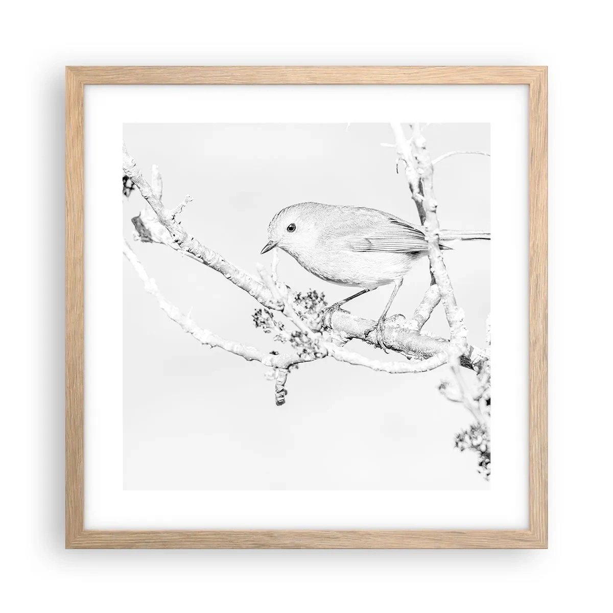 Poszter világos tölgy keretben - Téli reggel - 40x40 cm
