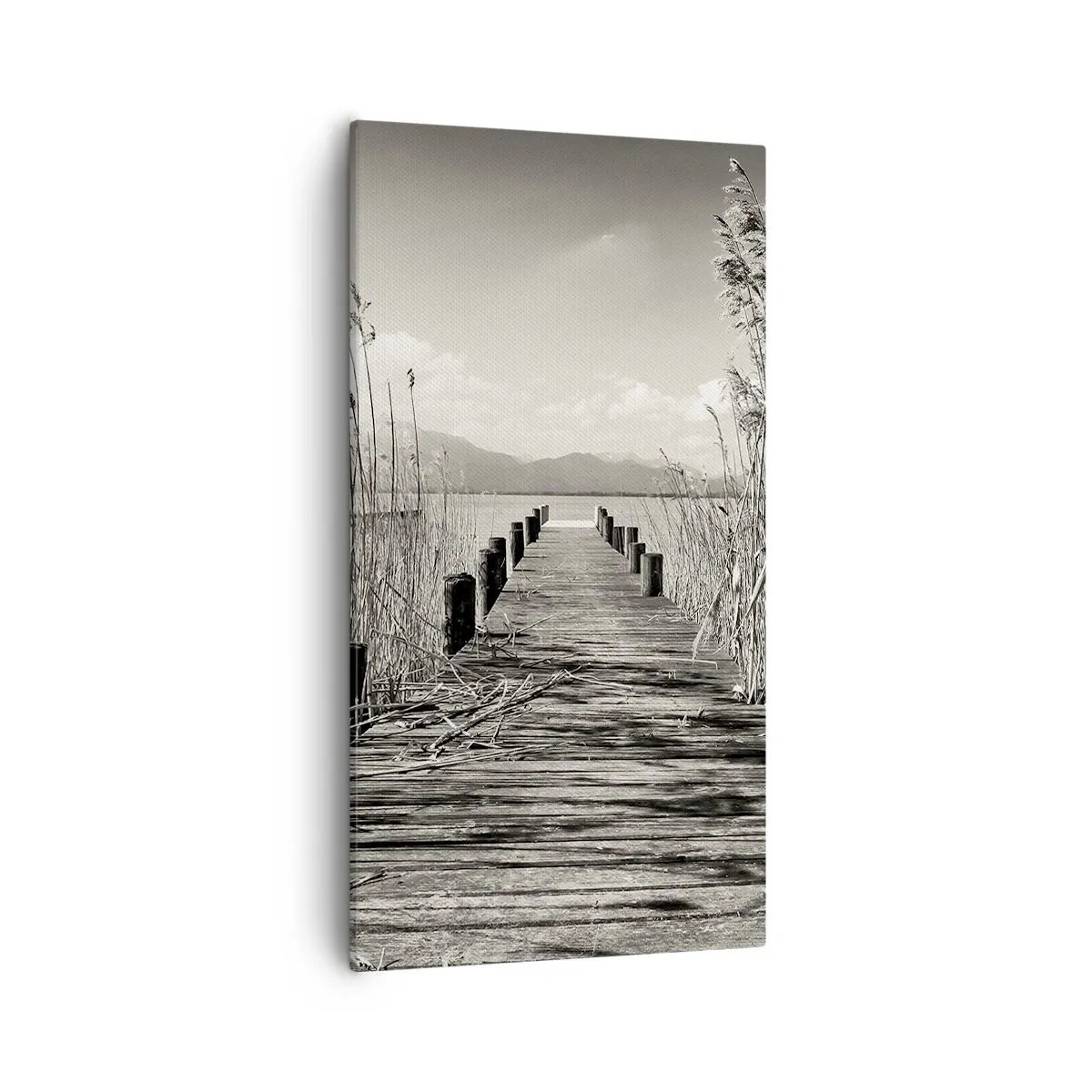 Vászonkép - A fű csendjében - 55x100 cm