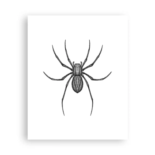 Poszter - Zavaró precizitás - 40x50 cm