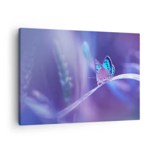 Vászonkép - Egy finom kék pillangó egy száron lila fényben - 70x50cm - A természet gyöngyszeme - Modern fali dekoráció nappalihoz és hálószobához ARTTOR