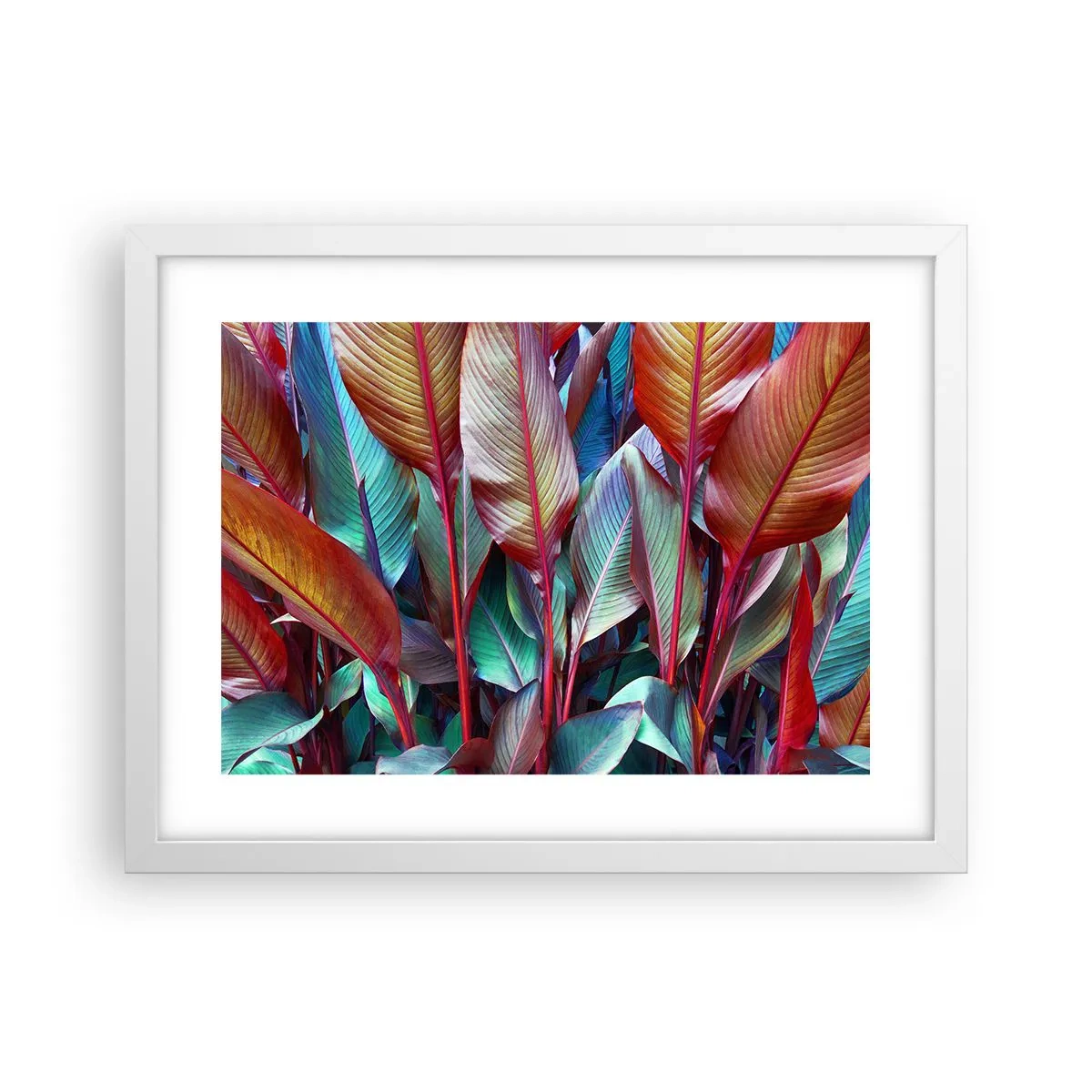 Poszter fekete keretben - Egy színes sűrű - 40x30 cm