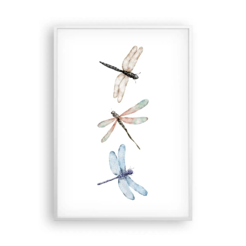 Poszter fekete keretben - Súlytalan szitakötők - 70x100 cm