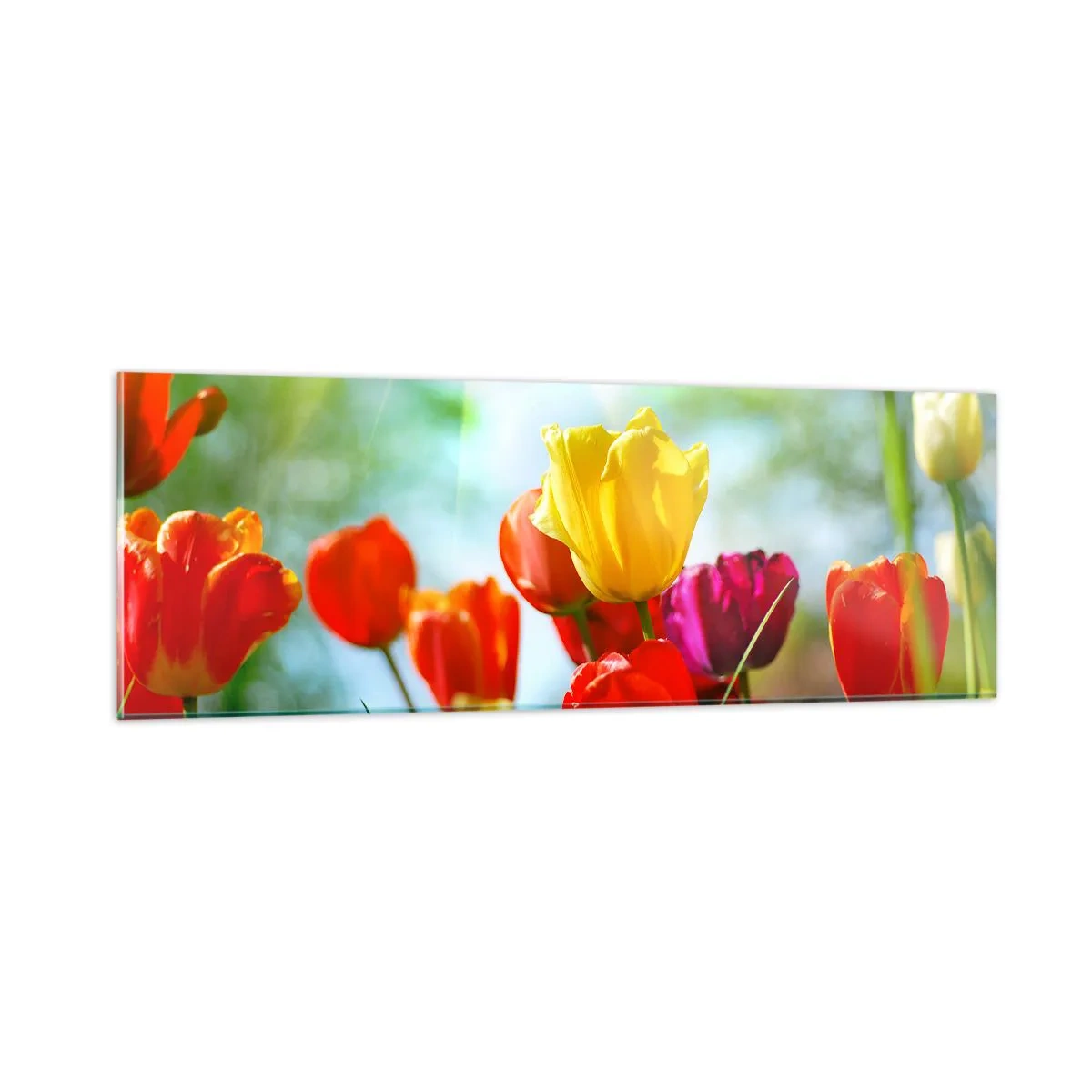 Üveg kép - A nap minden színe - 90x30 cm