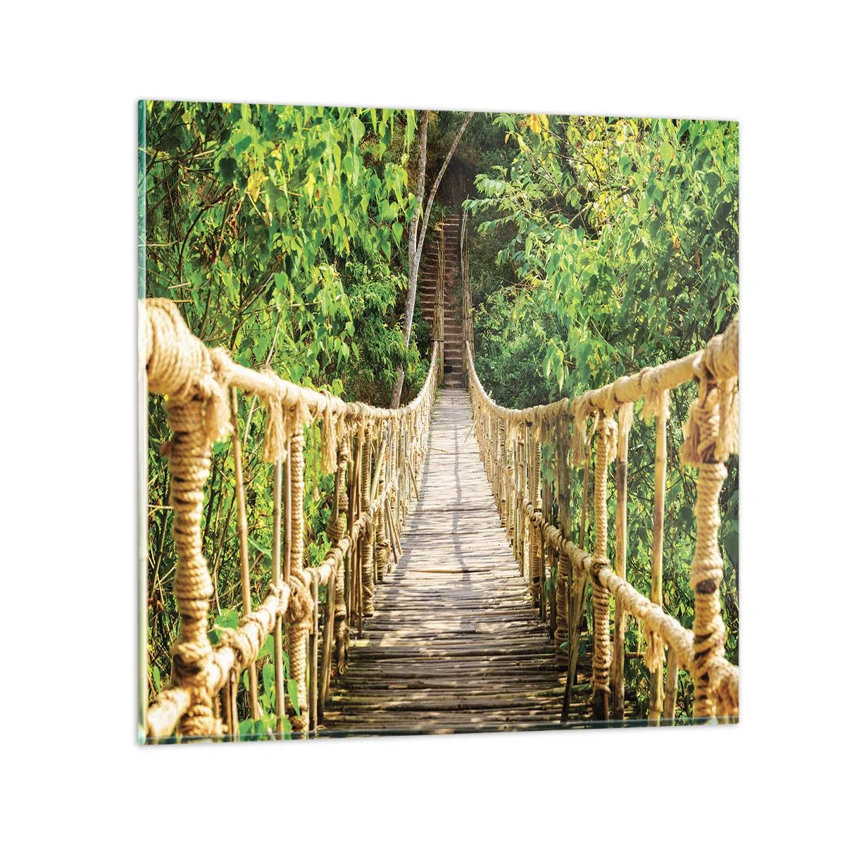 Üveg kép - Zöldben ragadva - 50x50 cm