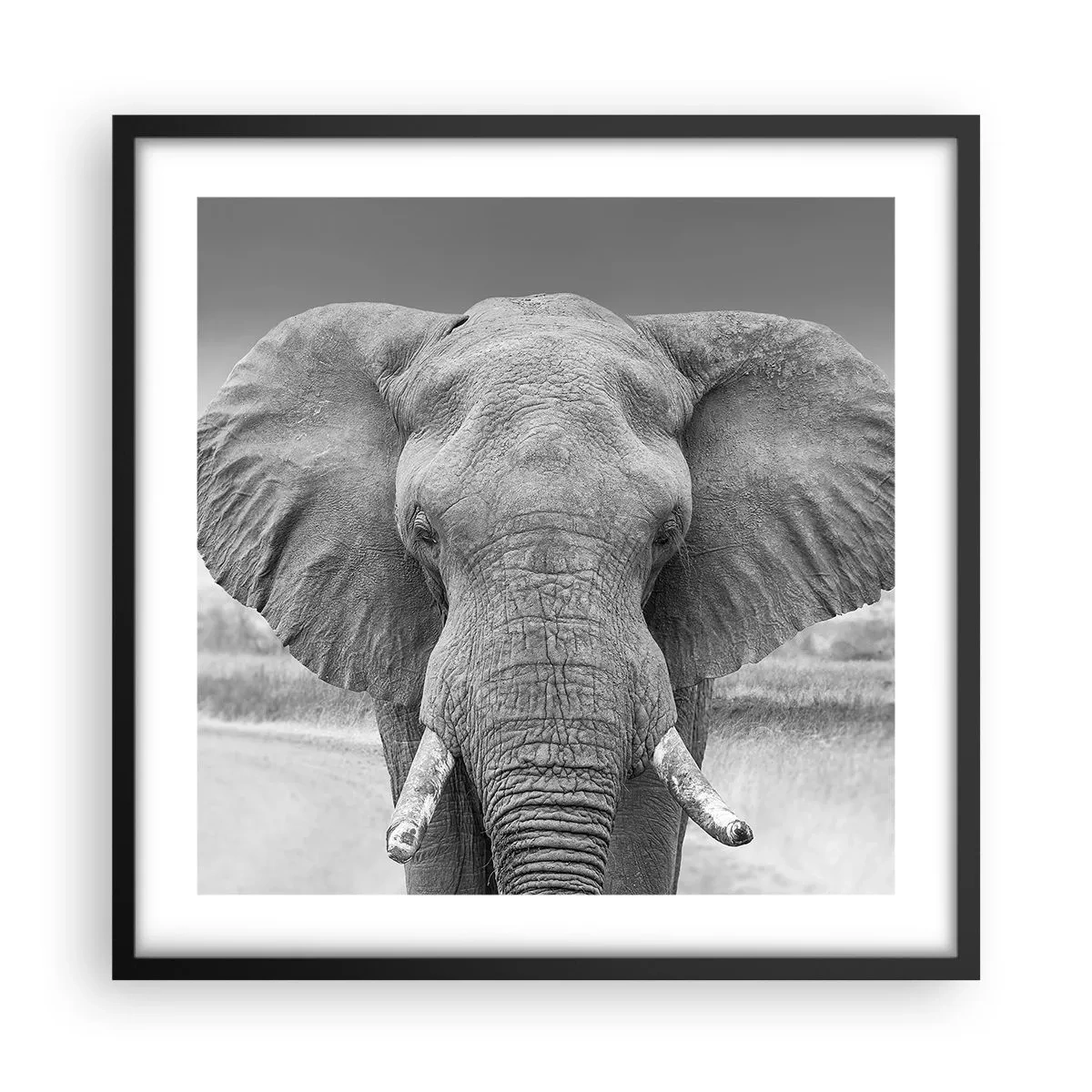 Poszter fehér keretben - Üdv a világomban - 50x50 cm