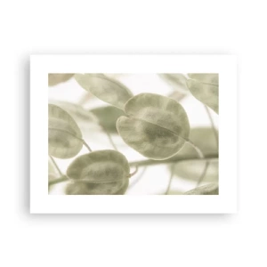 Poszter - Kezdetben levelek voltak... - 40x30 cm