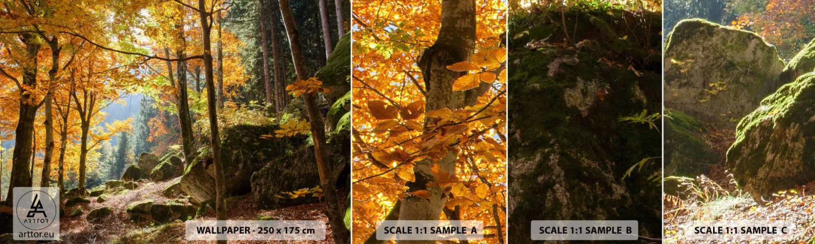 Fotótapéta Minta Standard Eco - Itt az ideje a pihenésnek - Tájkép, Erdő, Természet - 100x30 cm