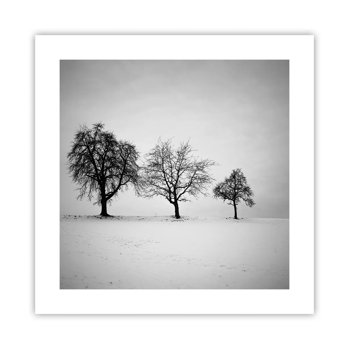 Poszter - Miről álmodoznak? - 40x40 cm