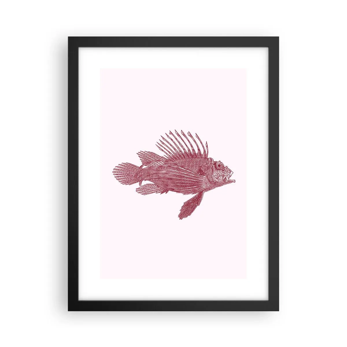 Poszter fehér keretben - Egzotikus vizek lakója - 30x40 cm