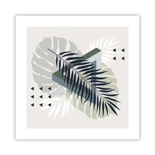 Poszter - Természet és geometria – két rend? - 40x40 cm