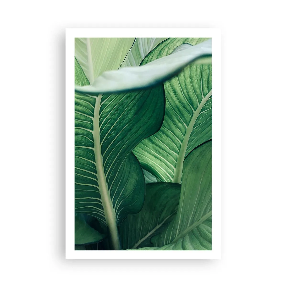 Poszter - Intenzíven zöld élet - 61x91 cm