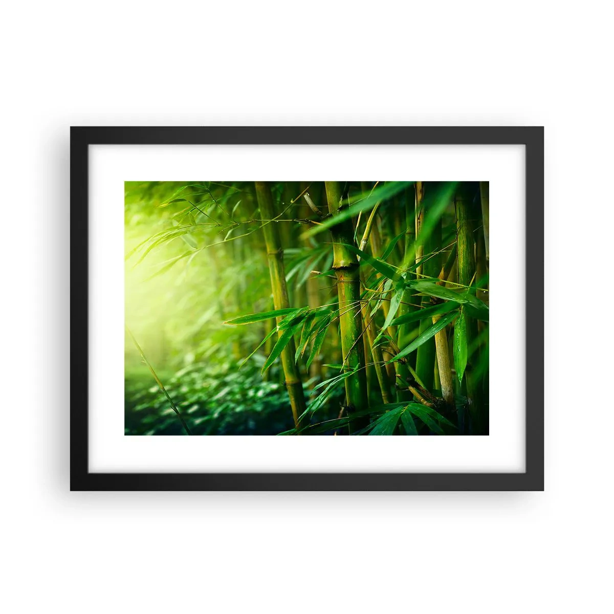 Poszter fehér keretben - Megismerni magát a zöldet - 40x30 cm
