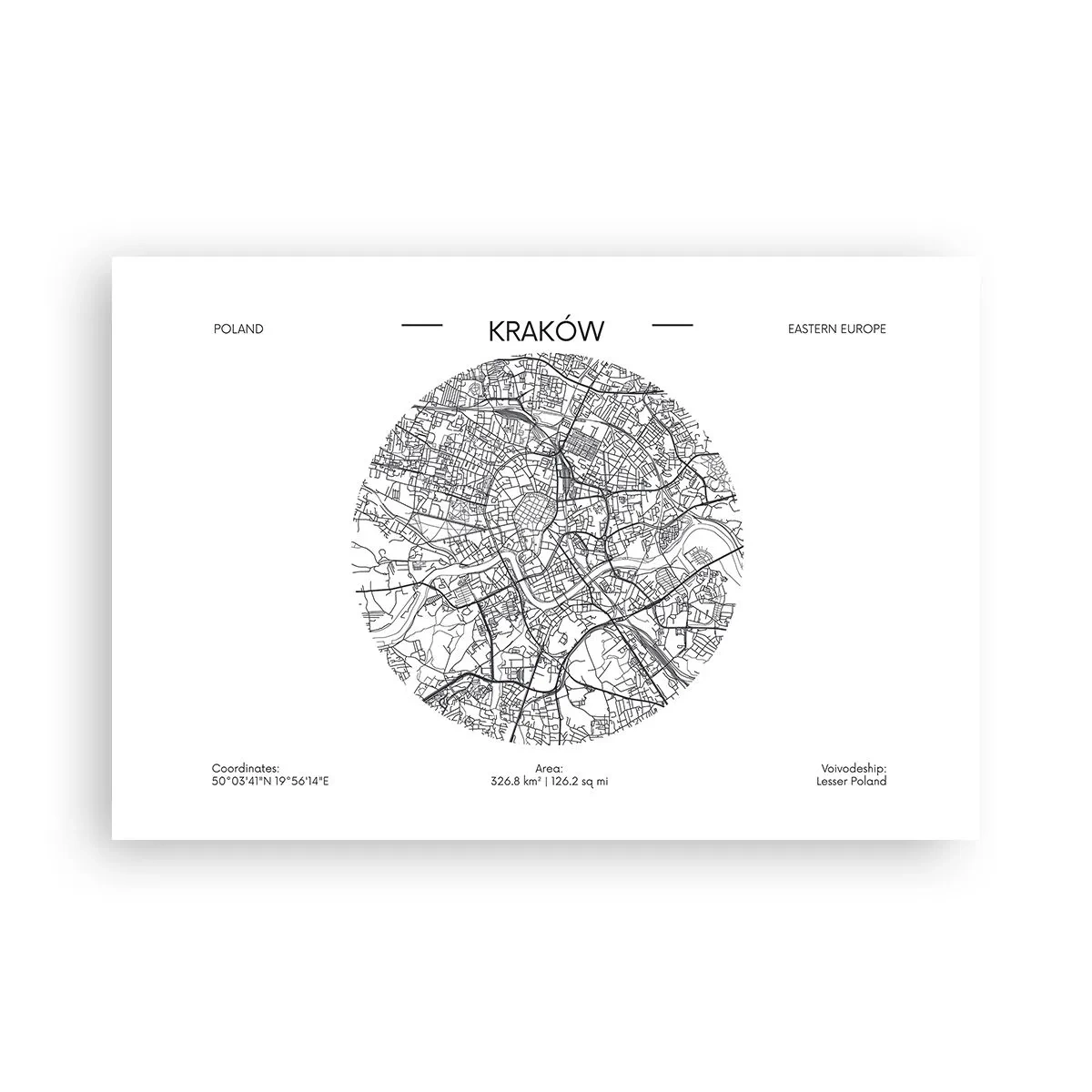 Poszter - Krakkó anatómiája - 91x61 cm